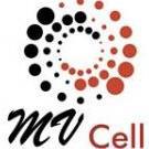 MV Cell