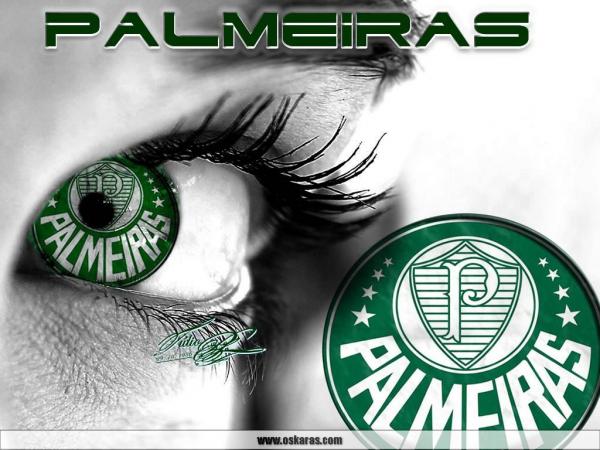 fotos-palmeiras-0.jpg